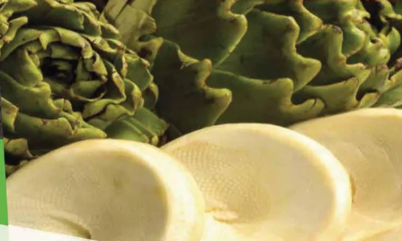 IQF Artichoke Supplier food ingredient supplier