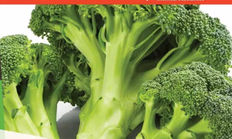 IQF Broccoli Supplier food ingredient supplier
