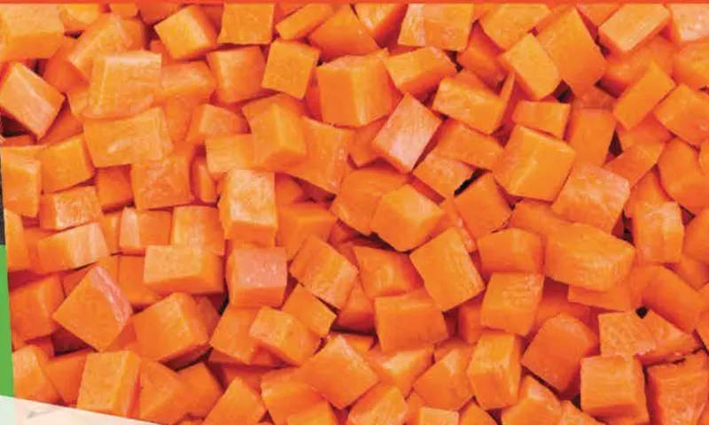 IQF Diced Carrot Supplier food ingredient supplier
