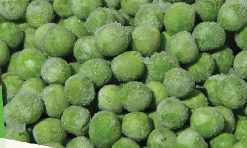 IQF Green Peas Supplier food ingredient supplier